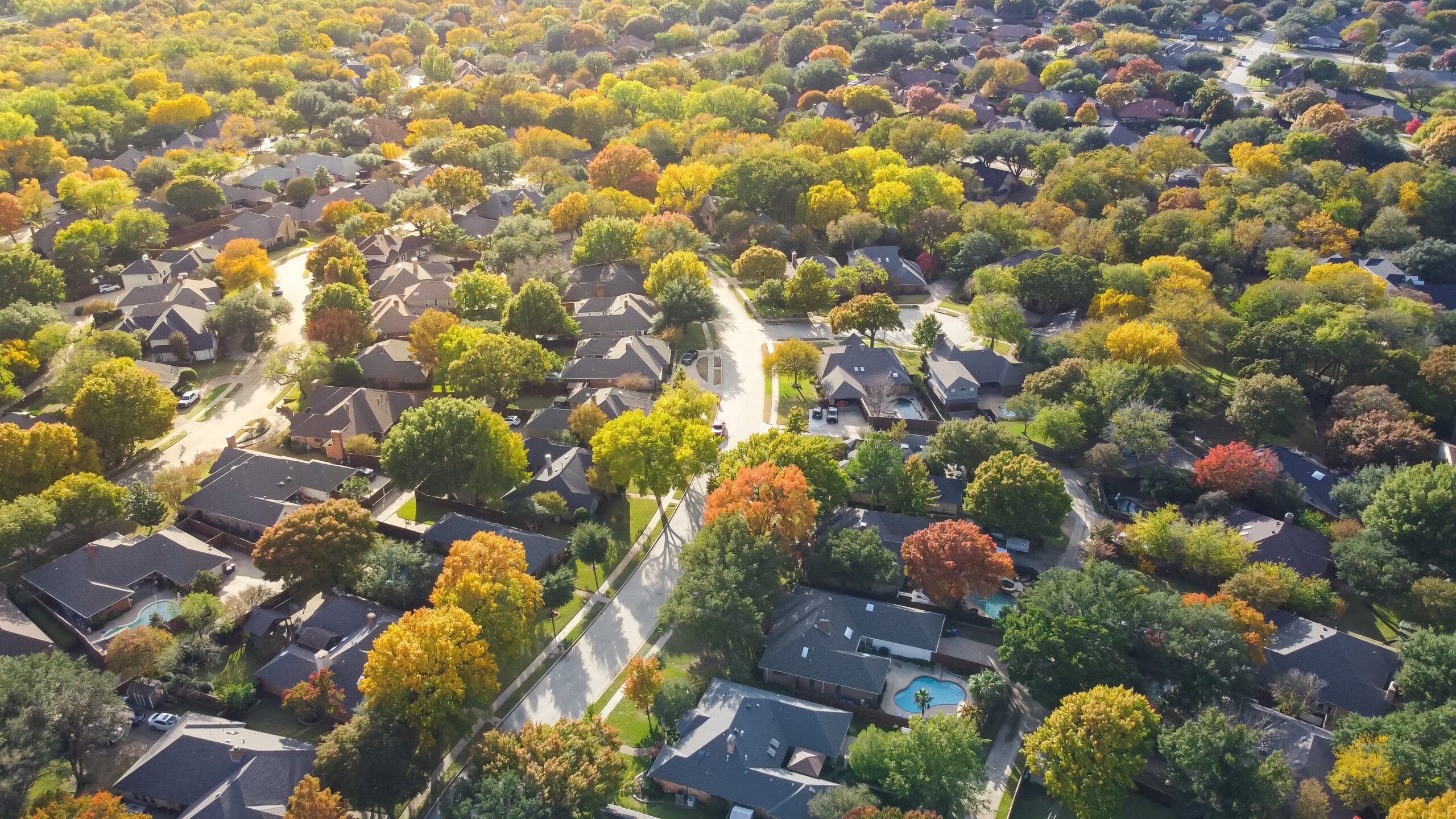 Lush greenery master planned community subdivision colorful fall leaves and row of single-family homes with swimming pool in upscale neighborhood Dallas